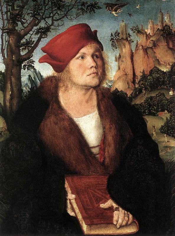 CRANACH, Lucas the Elder Portrait of Dr. Johannes Cuspinian ff oil painting picture